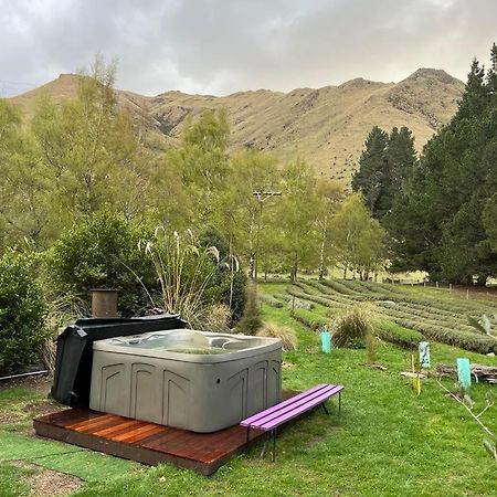 Danseys Pass Lavender Farm Tokarahi Exterior foto