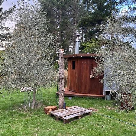 Danseys Pass Lavender Farm Tokarahi Exterior foto