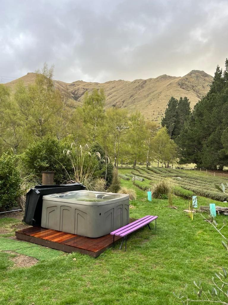 Danseys Pass Lavender Farm Tokarahi Exterior foto